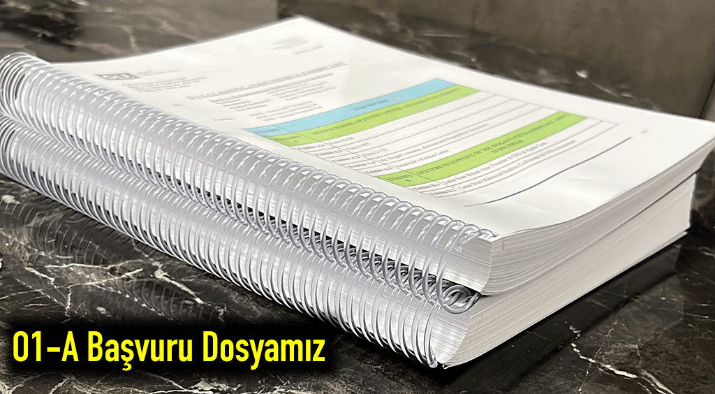 Amerika Hizmetleri